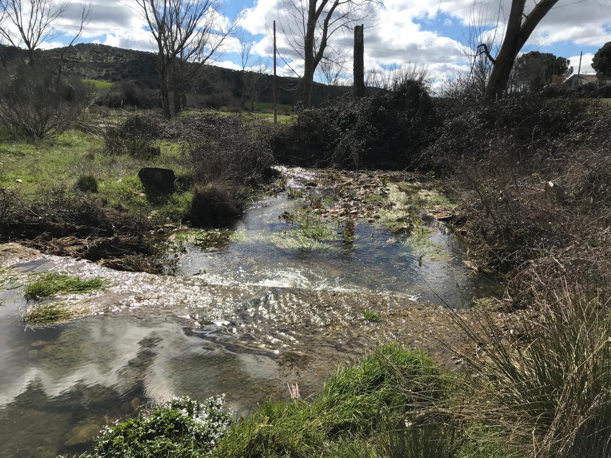 Los Cipreses De Mesones Mesones  Exteriér fotografie