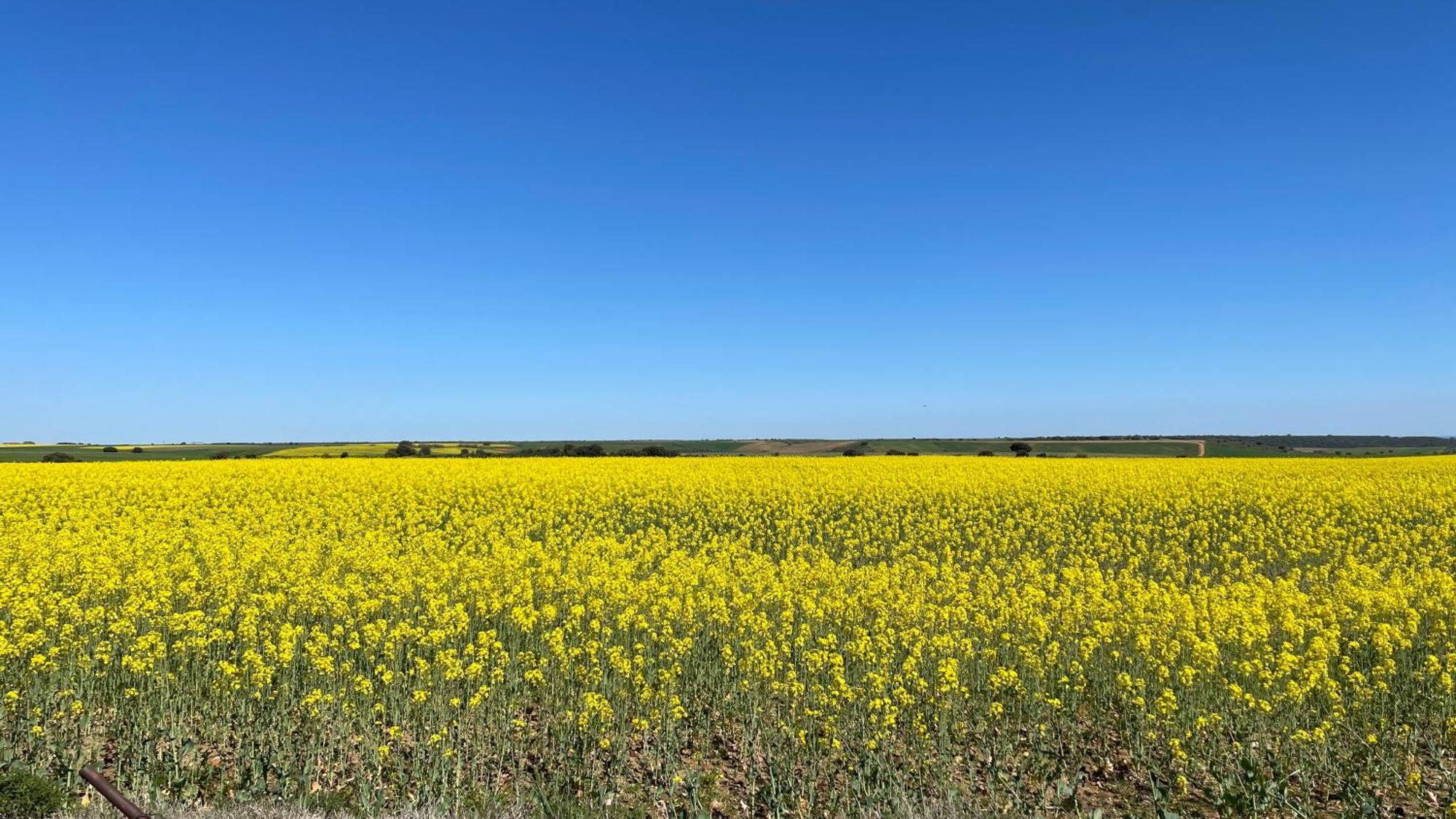 Los Cipreses De Mesones Mesones  Exteriér fotografie